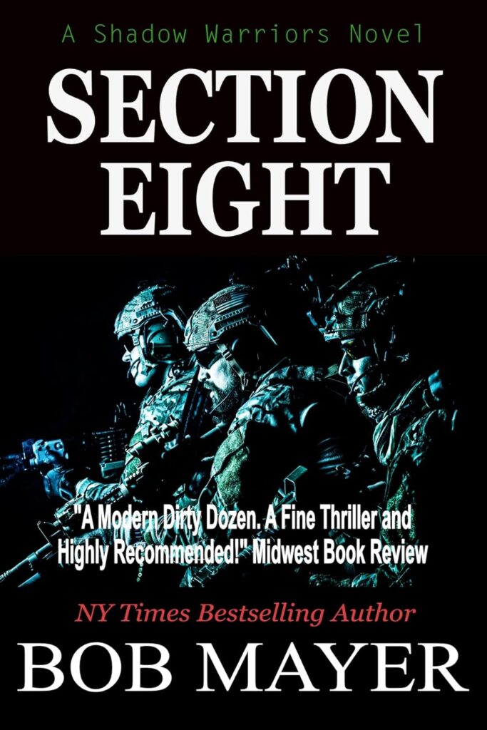 Section Eight by Bob Mayer